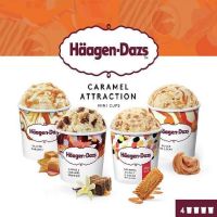 HAA PACK MINI TARRINA CARAMEL 4X95ML. 12P.